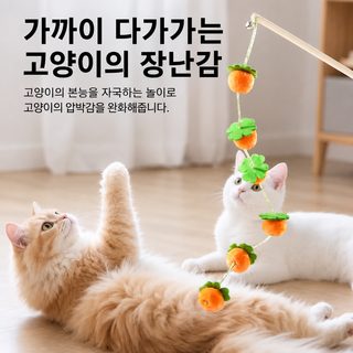 고양이 장난감 낚싯대 감 모양 긴 막대형 혼자 놀기 스트레스 해소 인터랙