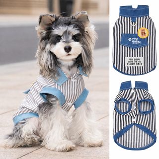 펫 고양이 강아지 옷 소형견 시나리 비숑 테디 줄무늬 데님 옷 봄여름 얇은