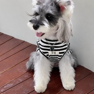 강아지 여름 스트라이프 조끼 소형견 중형견 통기성 민소매 티셔츠