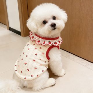 강아지 레이스 조끼 체리 프린트 봄여름 통기성 얇은 반려견 옷 테디 의류