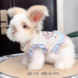 도매 토끼 옷 봄여름 옷 앙골라 귓불 토끼 털 방지 조끼 고양이 강아지 공용