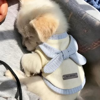 매직필드 강아지 고양이 인스타 감성 조끼 꽃봉오리 스커트 소형견 펫룩 봄
