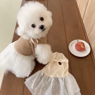 강아지 여름 얇은 통기성 원피스 치마 테디 푸들 소형견용 애견 옷