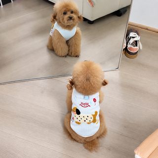 초소형견 귀여운 컬러 강아지 조끼 닥스훈트 푸들 비숑 사계절 반려견 옷