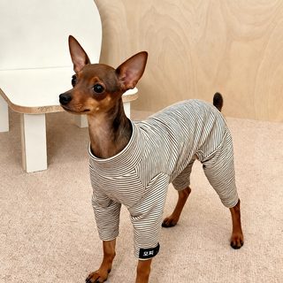 사슴개 옷 가을겨울 보온 줄무늬 점프슈트 가정복 소형견 강아지 겨울 레깅