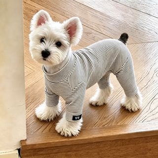 소형견 강아지 사계절 기모 스트라이프 네발 옷 실내복