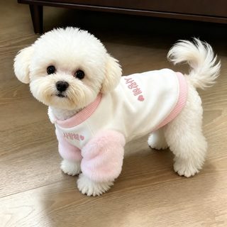 비숑 강아지 맨투맨 소형견 겨울 보온 옷 핑크 퍼플 XS~XL
