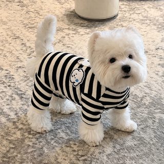 강아지 옷 봄 가을 신상 스트라이프 셔츠 사발옷 소형견 비숑 테디시 고지