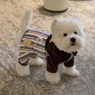 강아지 옷 가을 겨울 신상 마린넥 스트라이프 네발 옷 보온 서고지 비곰 테