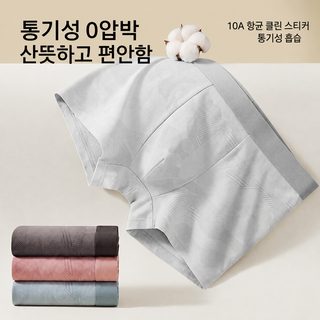 남성 순면 드로즈 10A 항균 모란디 컬러 무봉제 통기성 고탄력 사각팬티