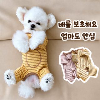 강아지 사계절 스트라이프 네발옷 소형견 비숑 푸들 봄가을 겨울 올인원 레