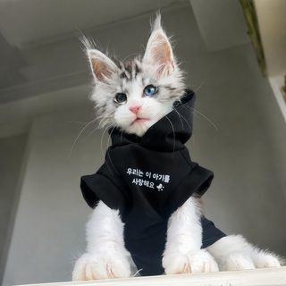 고양이 옷 봄가을 얇은 멋있는 후드티 털이 빠지지 않도록 방지하는 고양이
