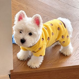강아지 옷 봄 가을 서양식 귀여운 만화 네발 가방 뱃옷 소형견 테디 비숑 얇
