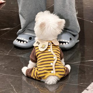 강아지 옷 봄 가을 귀여운 꿀벌 옷 가방 뱃옷 소형견 비곰 테디 보온 가을
