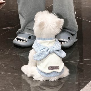 강아지 고양이 리본 조끼 가을 겨울 반려동물 보온 외투