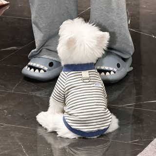 강아지 옷 봄 가을 신상 멋스러운 줄무늬 견인 양발옷 테디비베어 소형견 보온 맨투맨