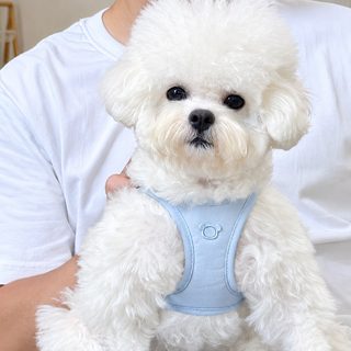 강아지 고양이 가슴줄 하네스 리드줄 세트 중소형견 사계절용 경량 산책용