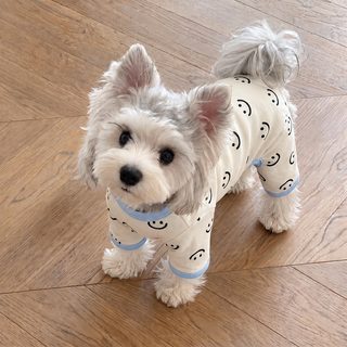 강아지 옷 소형견 네발 수면복 배 보호 반려견 의류 슈나우저 비숑 푸들 사