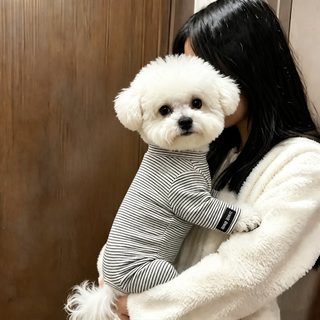 강아지 옷 가을 겨울 줄무늬 보온 사발옷 소형견 테디 비숑 시나리 포배 가