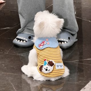 강아지 옷 가을 신상 스트라이프 셔츠 귀여운 해군 칼라 조끼 소형견 비곰
