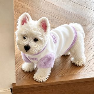 강아지 옷 가을 겨울 양기 보온 수건 수 양발옷 작은 강아지 서고지 비곰 테