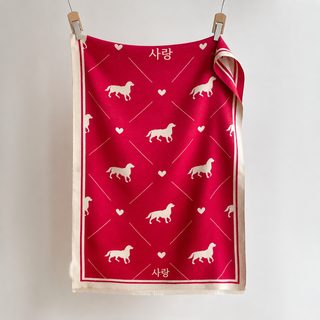 달콤한 만화 강아지 숄 목도리 겸용 여자 겨울 모조 캐시미어 두께 양면 2색