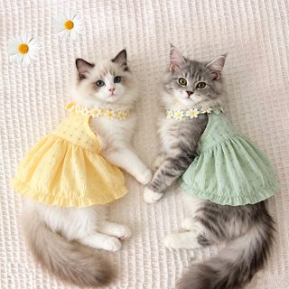 夏季猫咪ins渐层吊带裙防毛小裙子布偶英短宠物夏装薄款公主裙