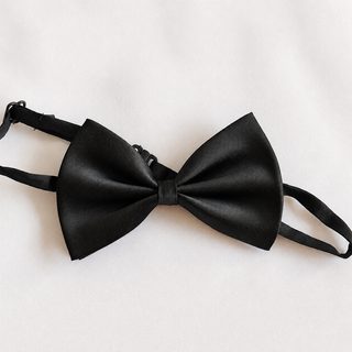 아동·반려동물 멀티컬러 보타이 7cm×10.5cm 유니섹스 단색 나비넥타이 50개