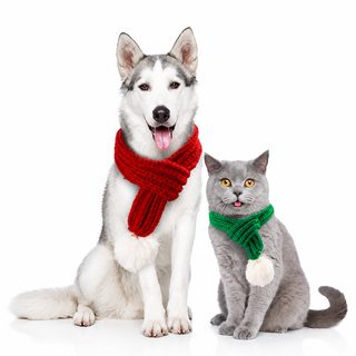 핸드메이드 반려동물 크리스마스 니트 목도리 강아지 고양이 스카프 S M L