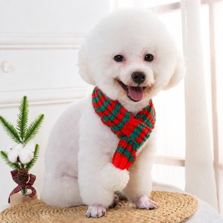 강아지 테디 비숑 고양이 목도리 주머니 강아지 크리스마스 목도리 액세서