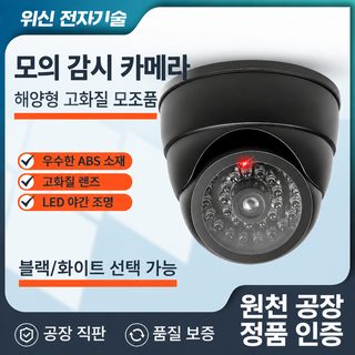 크로스보더 전용 적외선 가짜 카메라 소라 가짜 모니터 램프 블랙 차량용