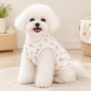 宠物狗狗猫咪衣服用品小型犬睡衣泰迪比熊马甲春24双层纱布棉背心