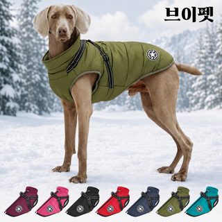 신제품 아마존 크로스보더 강아지 옷 가슴 등 일체 면복 애완동물 면옷 겨
