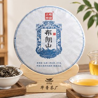 브라운산 오채 보이차 생차 압병 357g