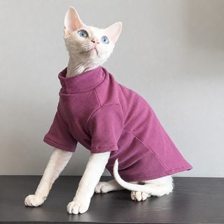 털 없는 고양이 옷 스핑크스 가을 겨울 보온 데빈 코니스 곱슬머리 낮은 발