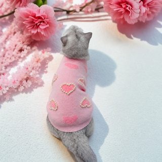 실력 공장 상품 원 강아지 고양이 가을 겨울 스웨터 현물 도매 비곰 귀빈 시