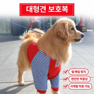 페디베어 대형견 팔꿈치 보호 티셔츠 골든리트리버 보더콜리 중대형견 사