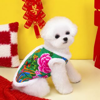 고양이 옷 새해 경사 솜옷 겨울 고양이 애완동물 강아지 세배 당복 25 동북