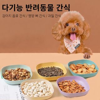반려동물 간식 접시 다용도 강아지 고양이 물·사료 급식기 뼈다귀형 과일