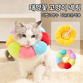 엘리자베스 링 고양이 불임 목걸이 핥기 방지 벼룩 제거 영 짧은 고양이 목
