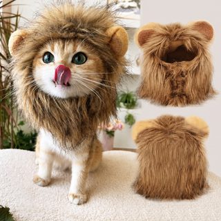 강아지 고양이 사자 갈기 모자 겨울 보온 반려동물 코스튬 촬영용 후드