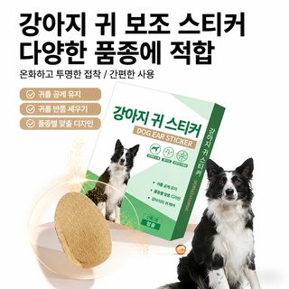 강아지 귀 세우기 테이프 2세트 대형견 소형견 귀 모양 고정 보조 지지대