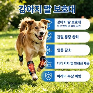 애완동물 관절 보호 세트 강아지 무릎 보호 지지 보호구 애완동물 염좌 수