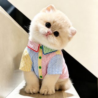 고양이 여름 얇은 옷 털 날림 방지 배색 셔츠·원피스 통기성 반려묘 의류