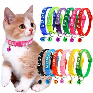 아마존 콤보 세트 애완동물 목걸이 고양이 강아지 목걸이 발자국 발자국 방