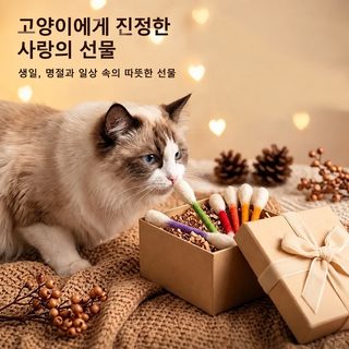 초대형 캣닢 면봉형 고양이 장난감 6개입 다색 봉제 인터랙티브 캣토이