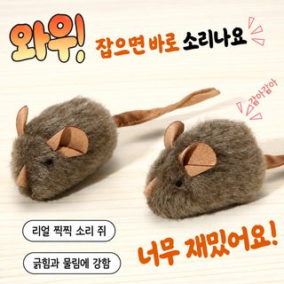 고양이 장난감 발성 쥐·새 캣닢 셀프놀이 인터랙티브 반려묘 용품