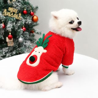 가을, 겨울 강아지 옷 의상 크리스마스룩 테디, 비숑 옷 고양이 소형견 펫