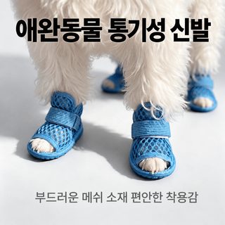 크로스보더 인기 여름 통기 테니스화 소형견 개신발 야외 애완동물 신발 떨