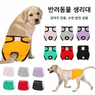 宠物生理裤猫咪发情内裤大中小型犬狗狗月经裤防骚扰卫生尿裤批发